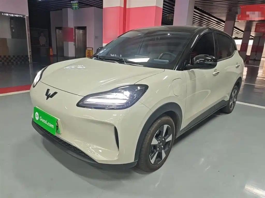 Wuling Motors Wuling Binguo PLUS 2024 Model 330km 5-Seater