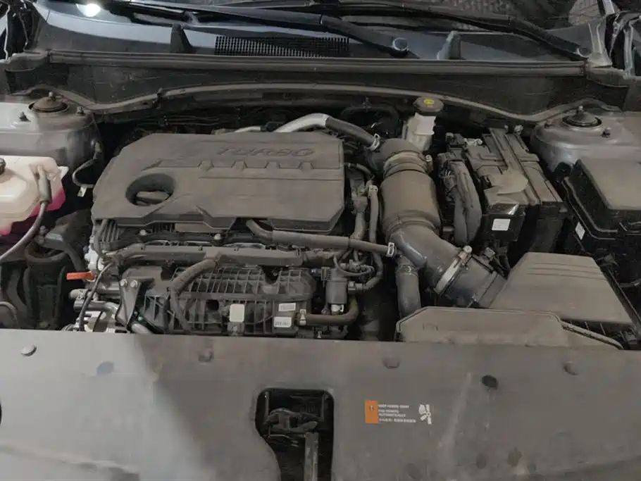 KIA LION PLATINUM EXPANDS THE WORLD