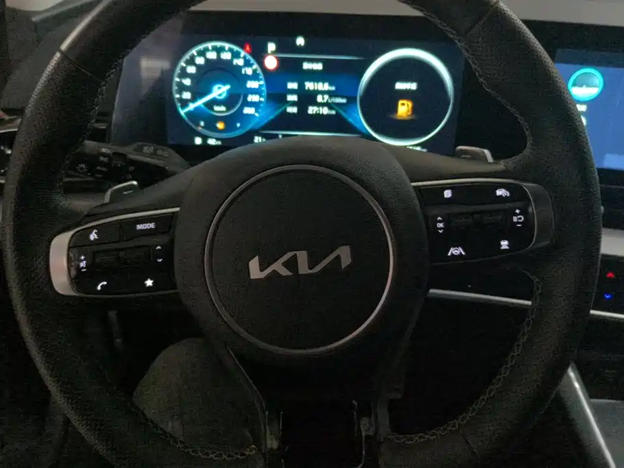 KIA LION PLATINUM EXPANDS THE WORLD