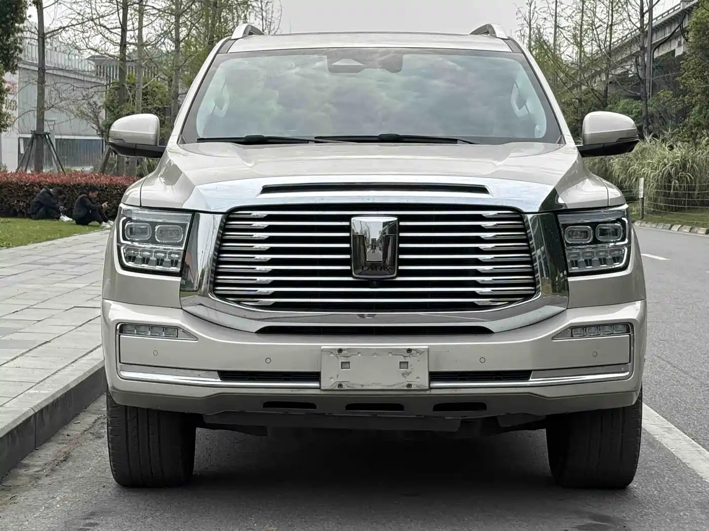 Tank 500 2023 3.0T Business Edition (5-seater)