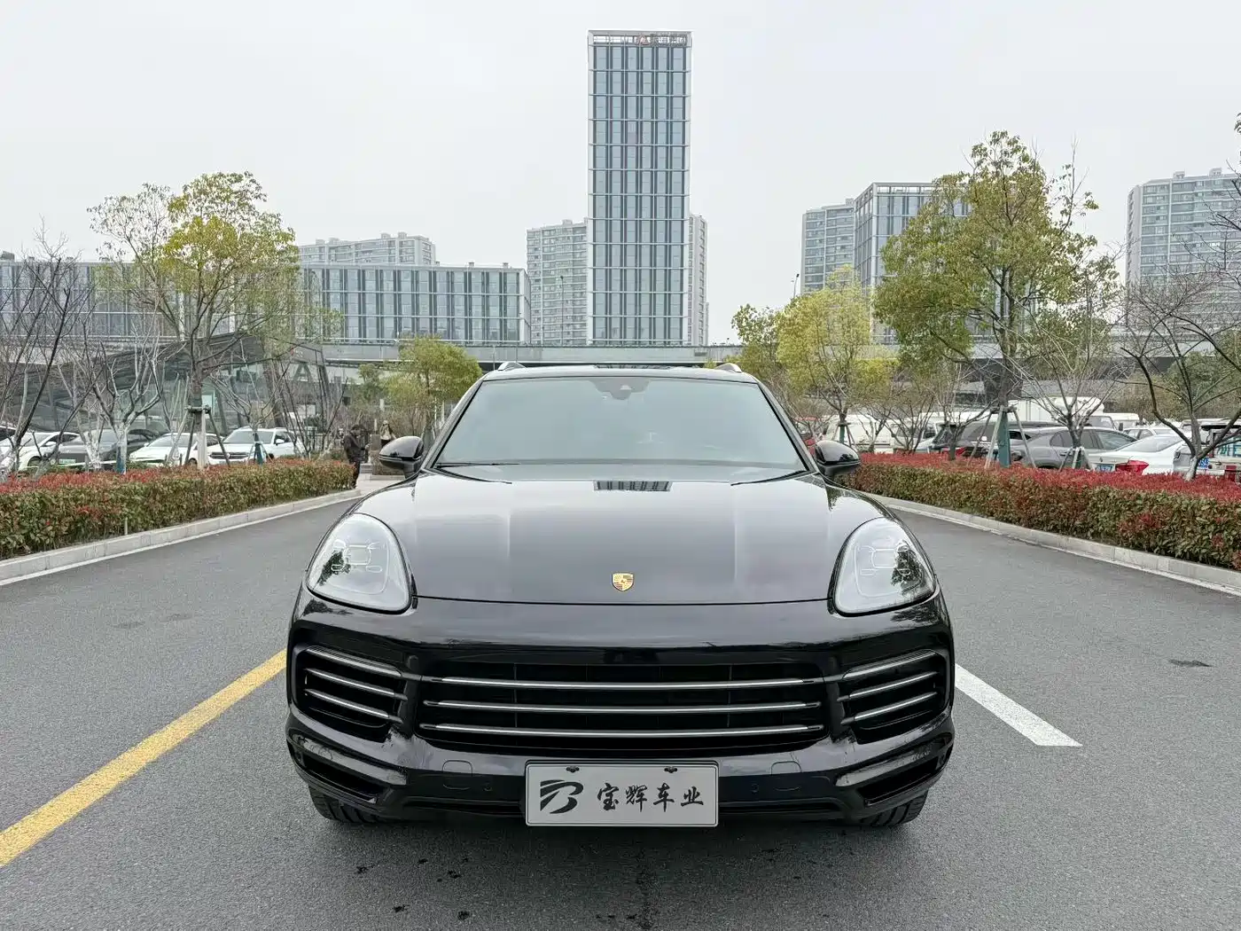Porsche Cayenne 2019 Cayenne 3.0T фото 2