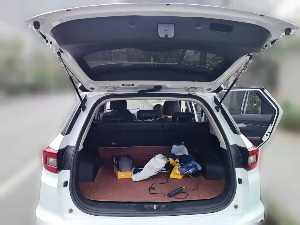 Changan CS55 2018 2018 1.5T Automatic Chromatic China V