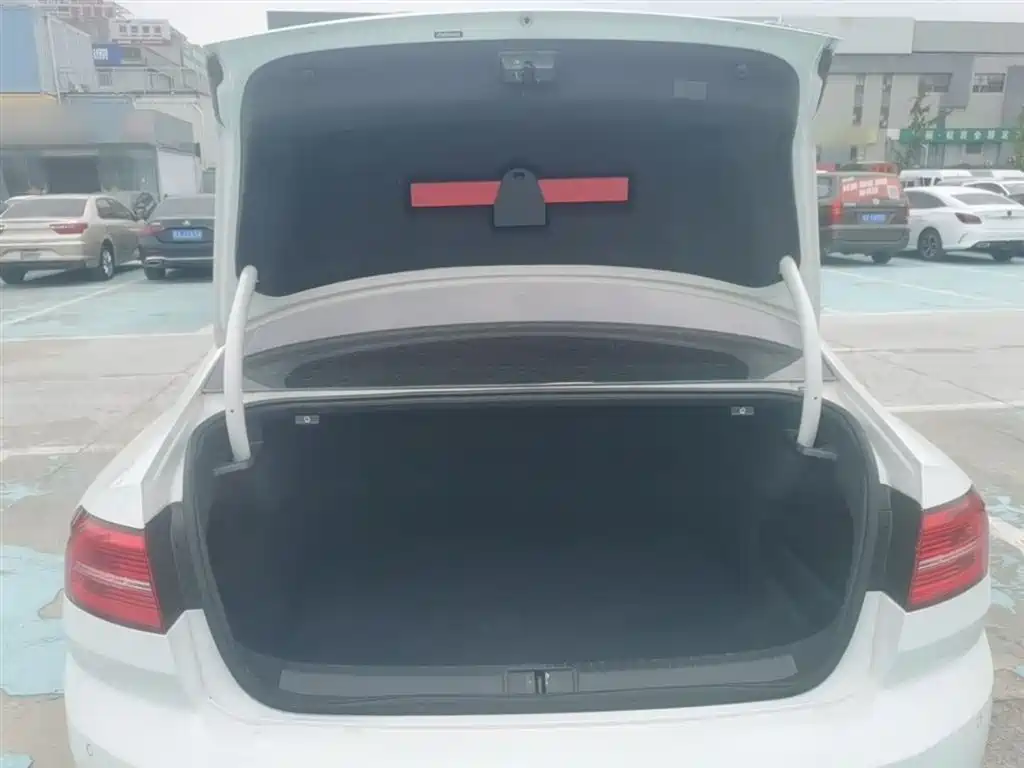 Volkswagen Magotan 2018 330TSI DSG Luxury фото 19