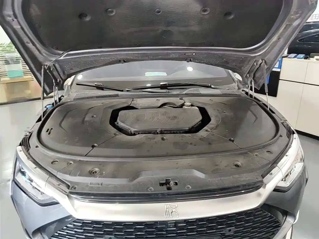 BYD Han 2020 DM AWD Performance Luxury Edition фото 20