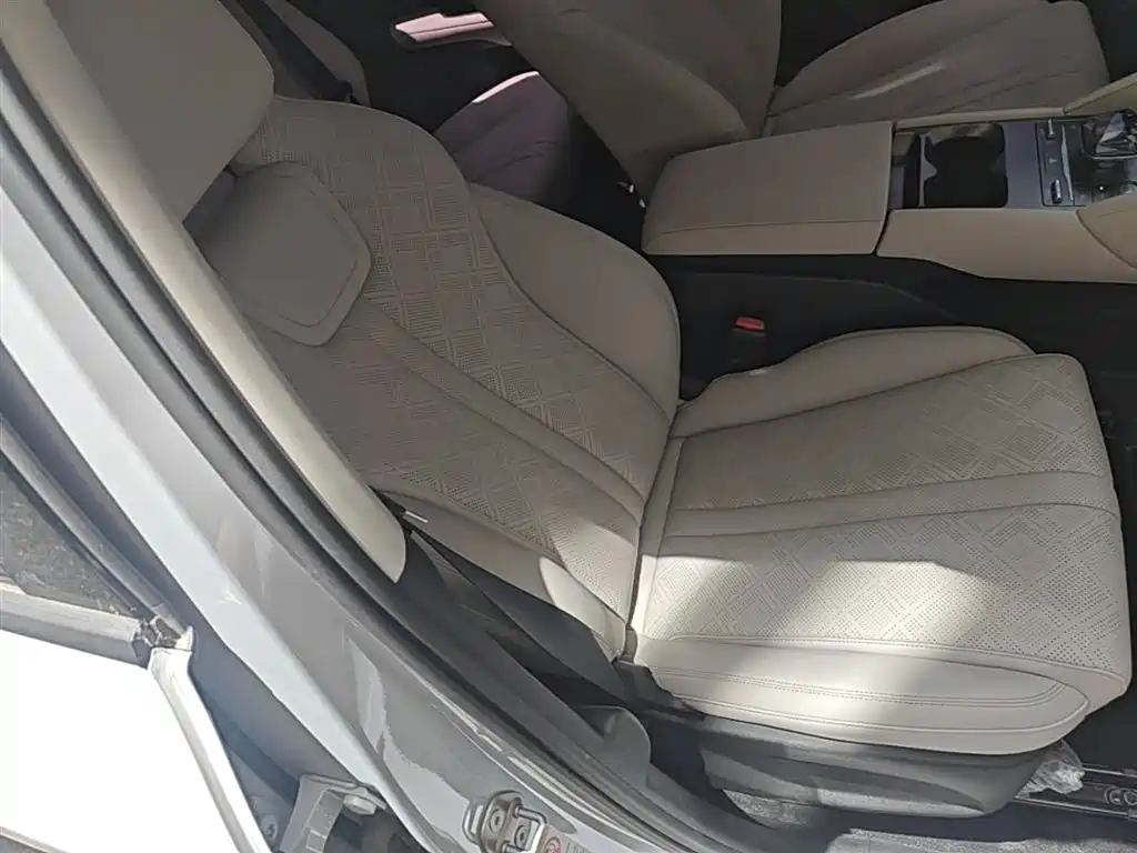 BYD Yuan UP 2024 401KM Leading Edition фото 25