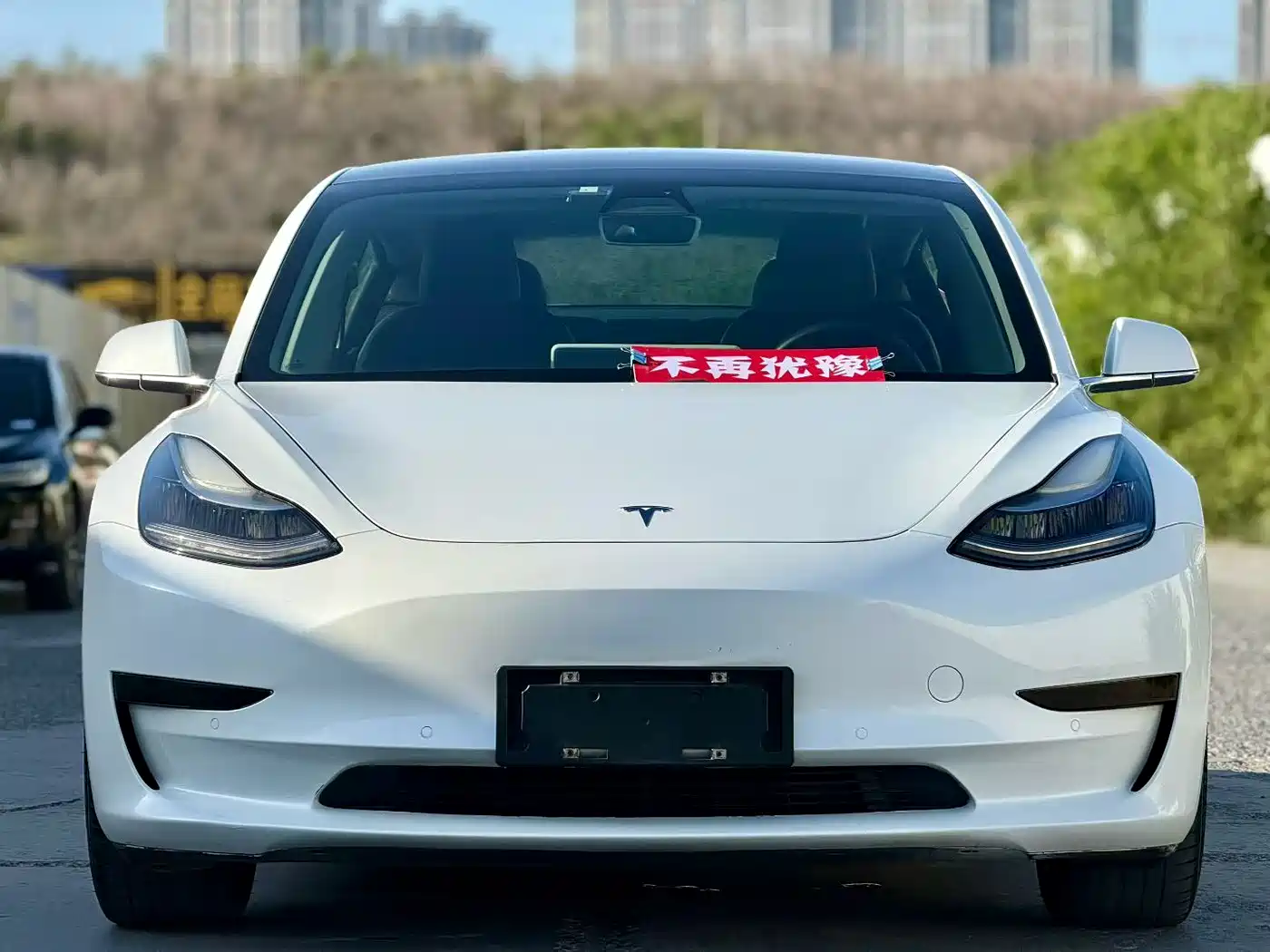 TESLA MODEL 3 (IMPORTED)
