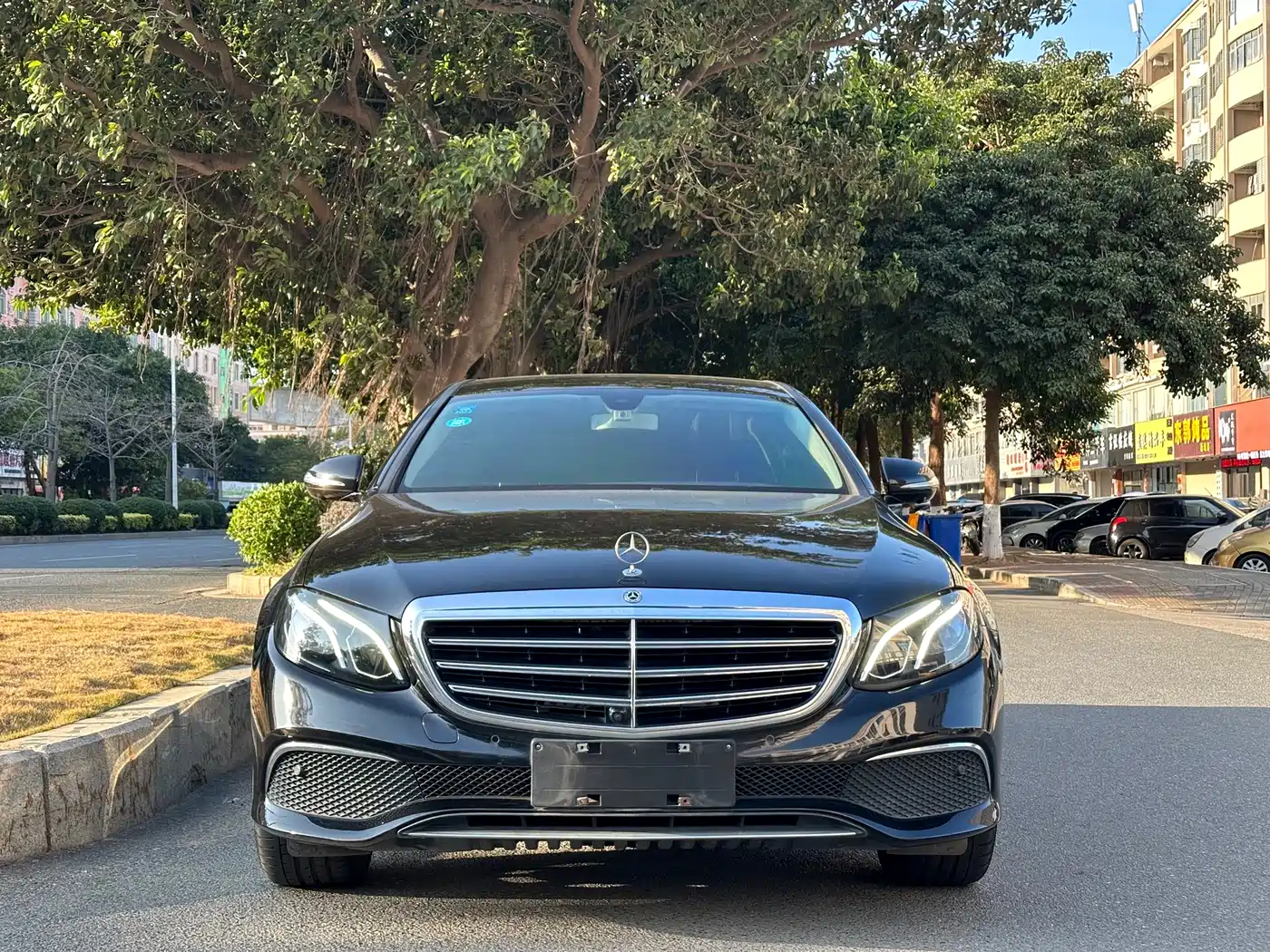 Mercedes-Benz E-Class 2018 E 300 L Luxury фото 2