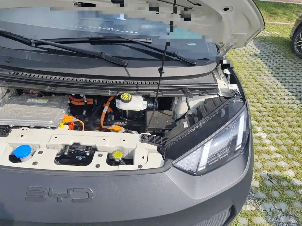 BYD Seagull 2026