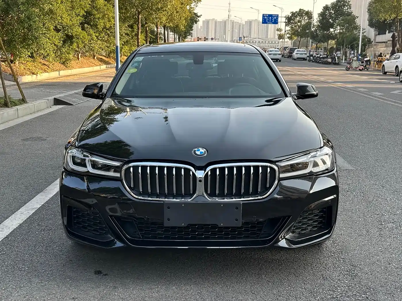 BMW 5 Series 2014 525Li Luxury Design Package фото 13