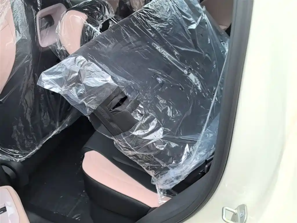 BYD Seagull 2025 Smart Drive Edition 305km Vitality Version фото 17