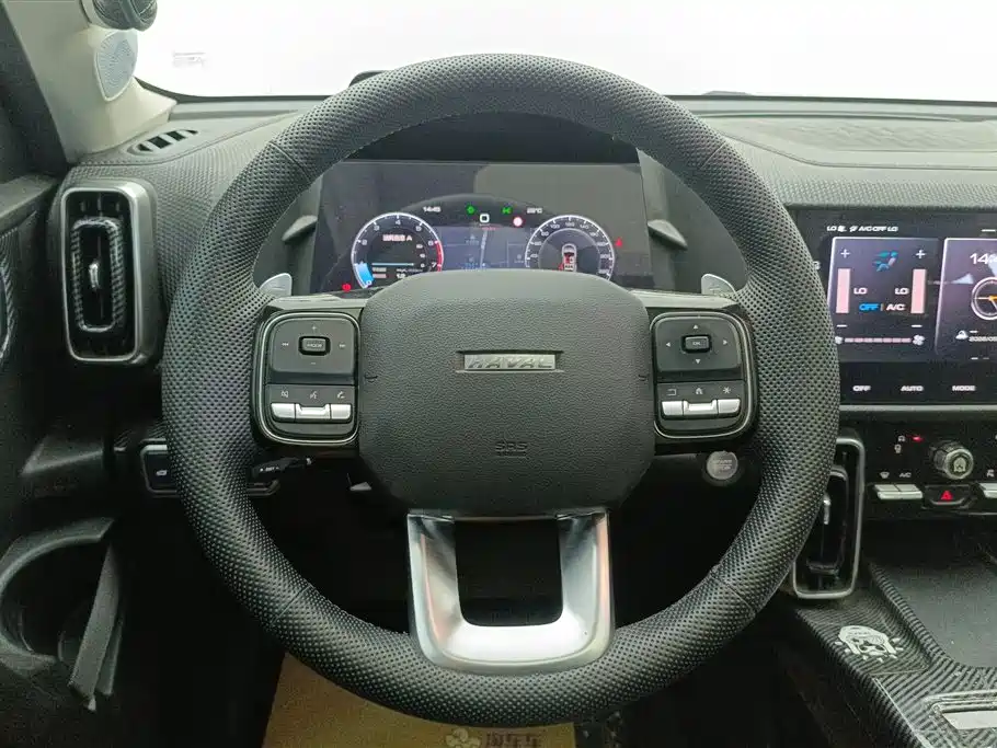 Haval Big Dog 2021 1.5T DCT 2WD Border Collie Edition фото 15