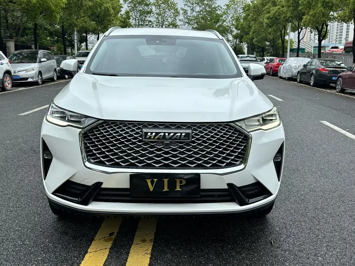 Haval H6 2021 3rd Gen 1.5T Auto 2WD Pro фото 2
