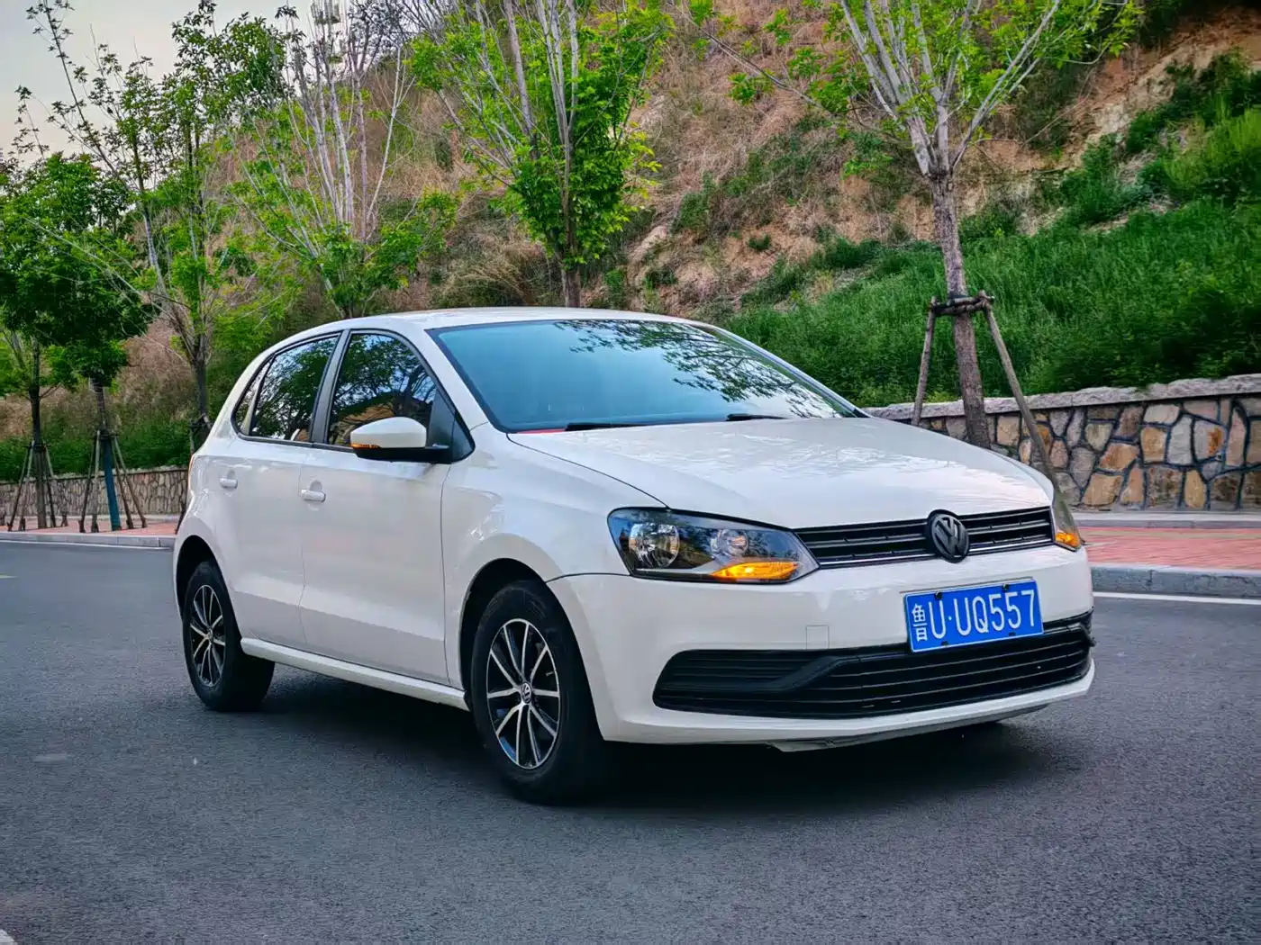 Volkswagen Polo 2016 1.4L Automatic Trend