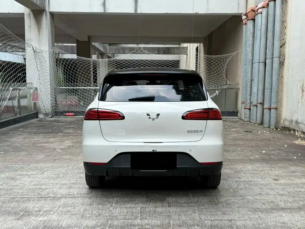 Wuling Motors Wuling Binguo PLUS 2025 2024 Model 330km 5-Seater