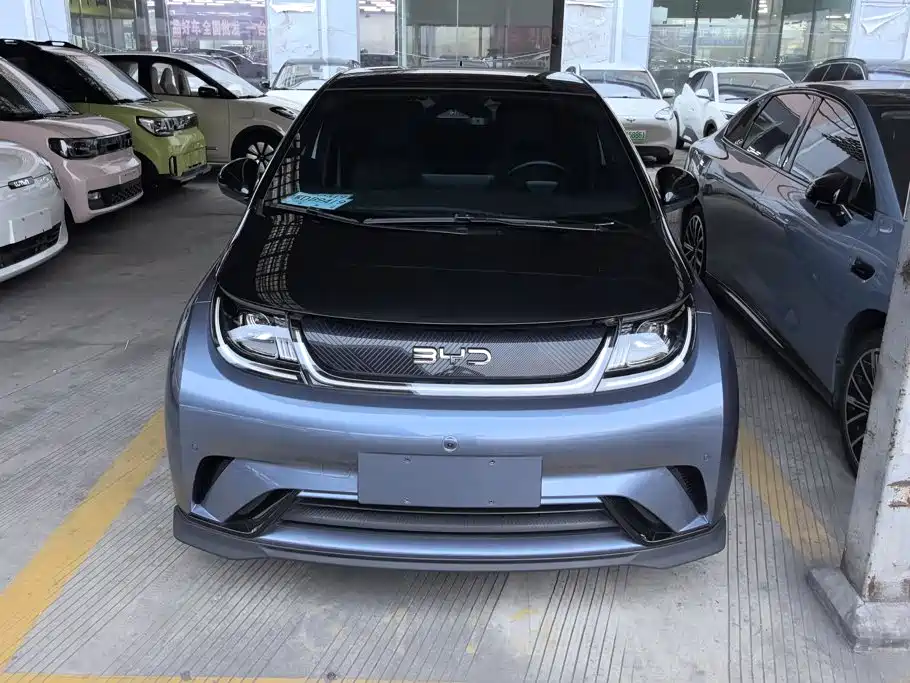 Фото 2 - BYD Dolphin
