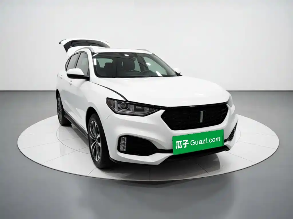 WEY VV6 2019 2018 2.0T 2WD Super Luxury China V