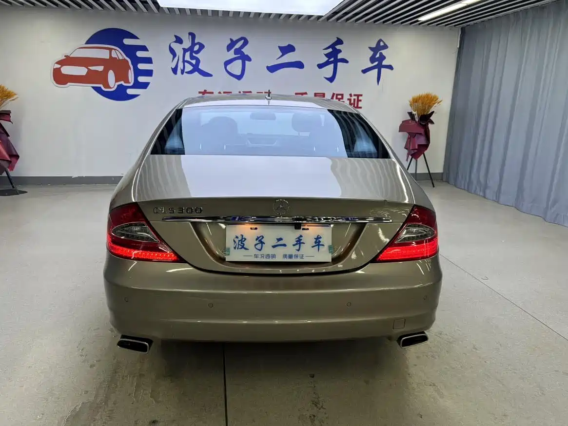Mercedes-Benz CLS 2010 2009 CLS 300