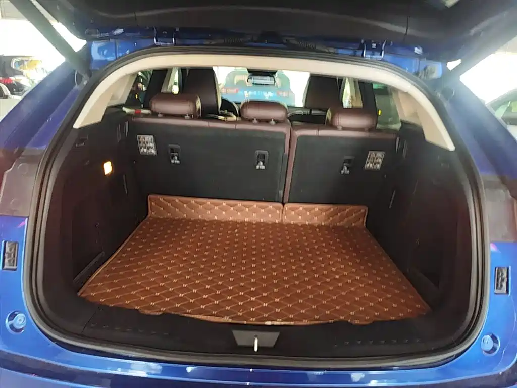 WEY VV5 2017 2017 2.0T Super Luxury Model