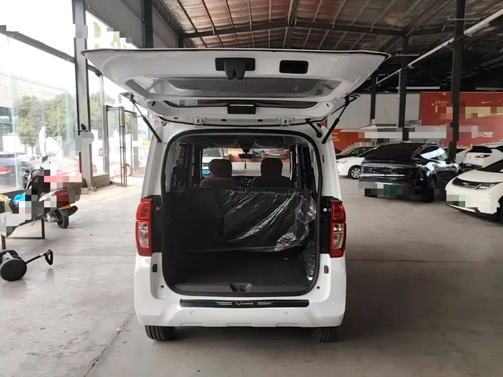 Wuling Motors Wuling Zhiguang NEV 2026 2025 Model 305km Base Version