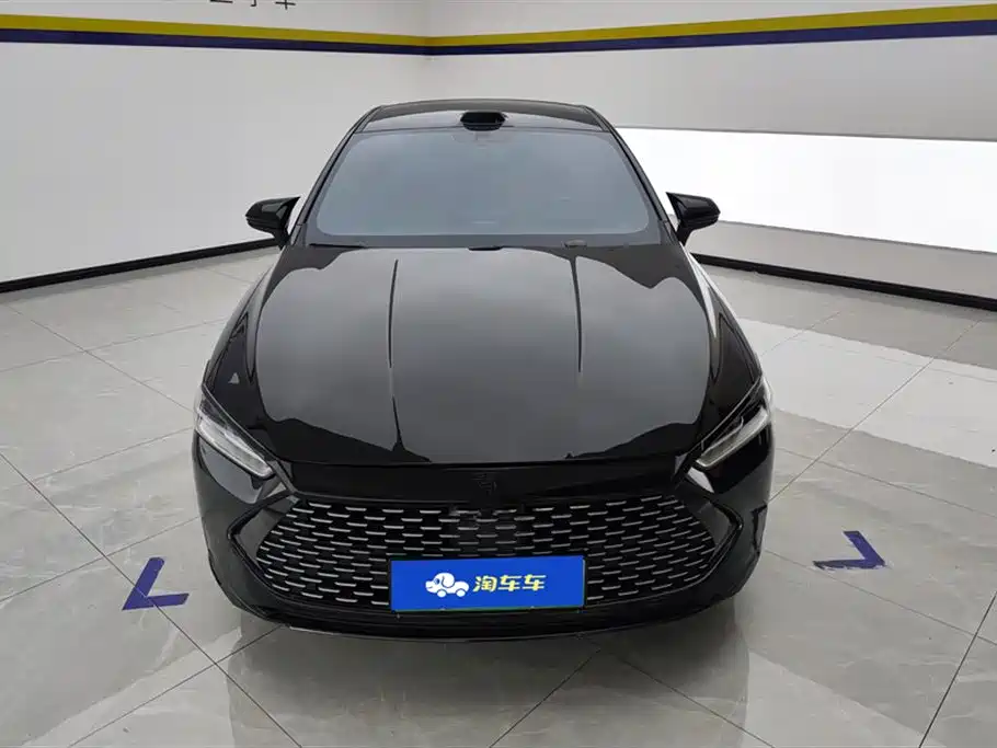 BYD Qin PLUS 2024 Glory Edition DM-i 55KM Leading фото 2