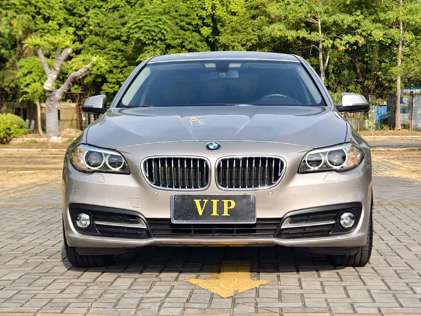 BMW 5 Series 2017 520Li Classic Edition фото 2