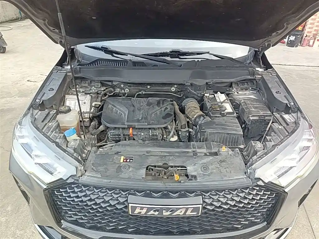 Haval H6 2021 3rd Generation 2.0T Auto AWD Max фото 20