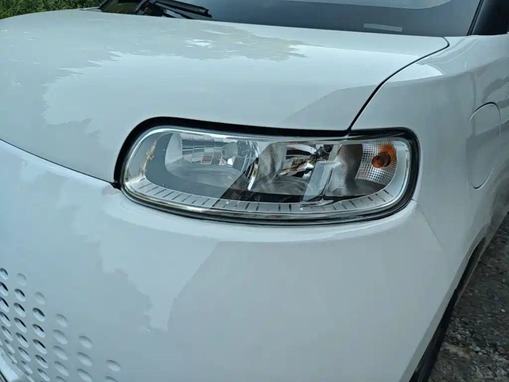 Ora White Cat 2021 2020 401km Flagship Model