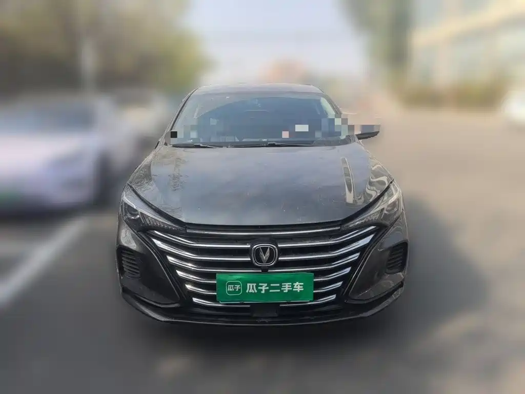 Фото 2 - Changan Eado