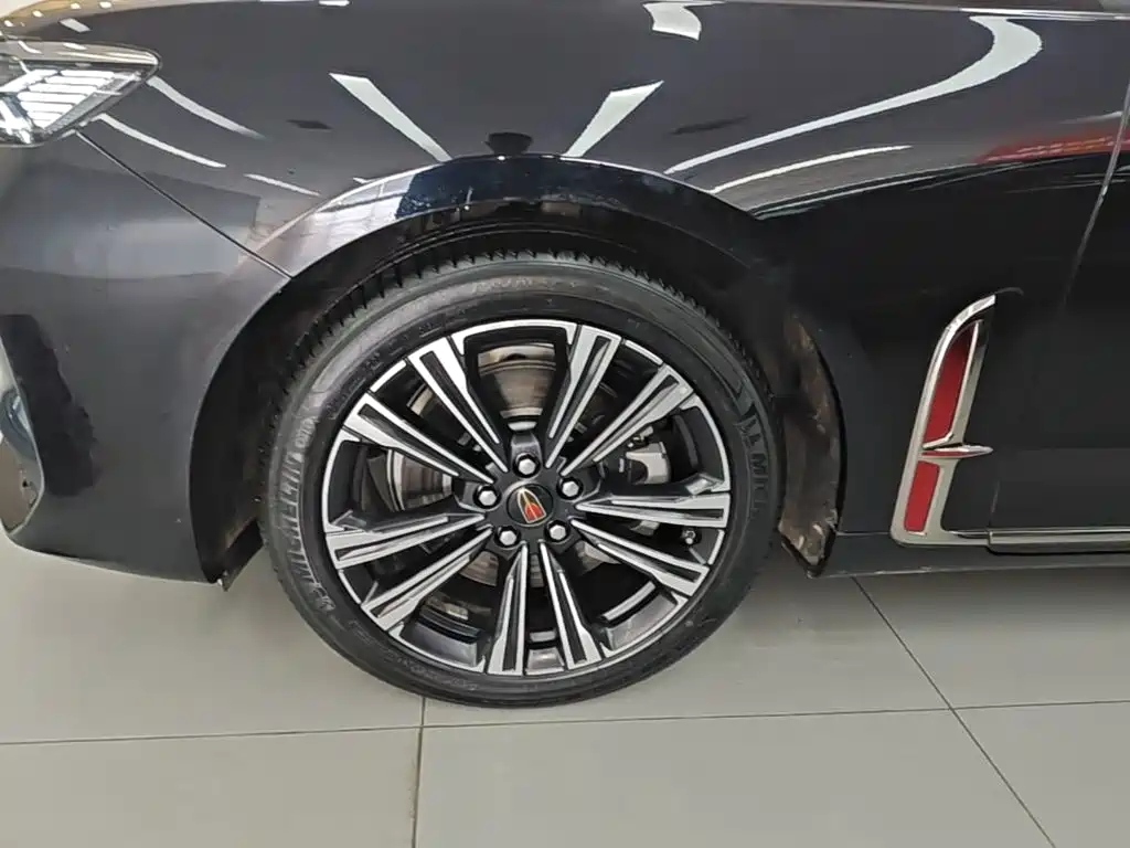 Hongqi H9 2025 2024 2.0T Qi Enjoy Private Fashion Edition