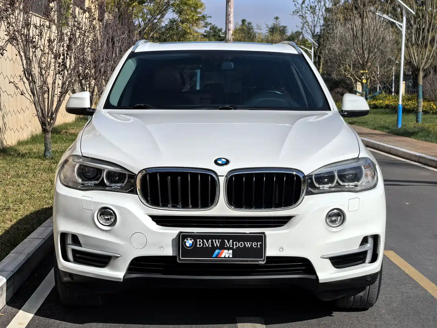 BMW X5 (Import) 2014 xDrive35i Leading фото 2