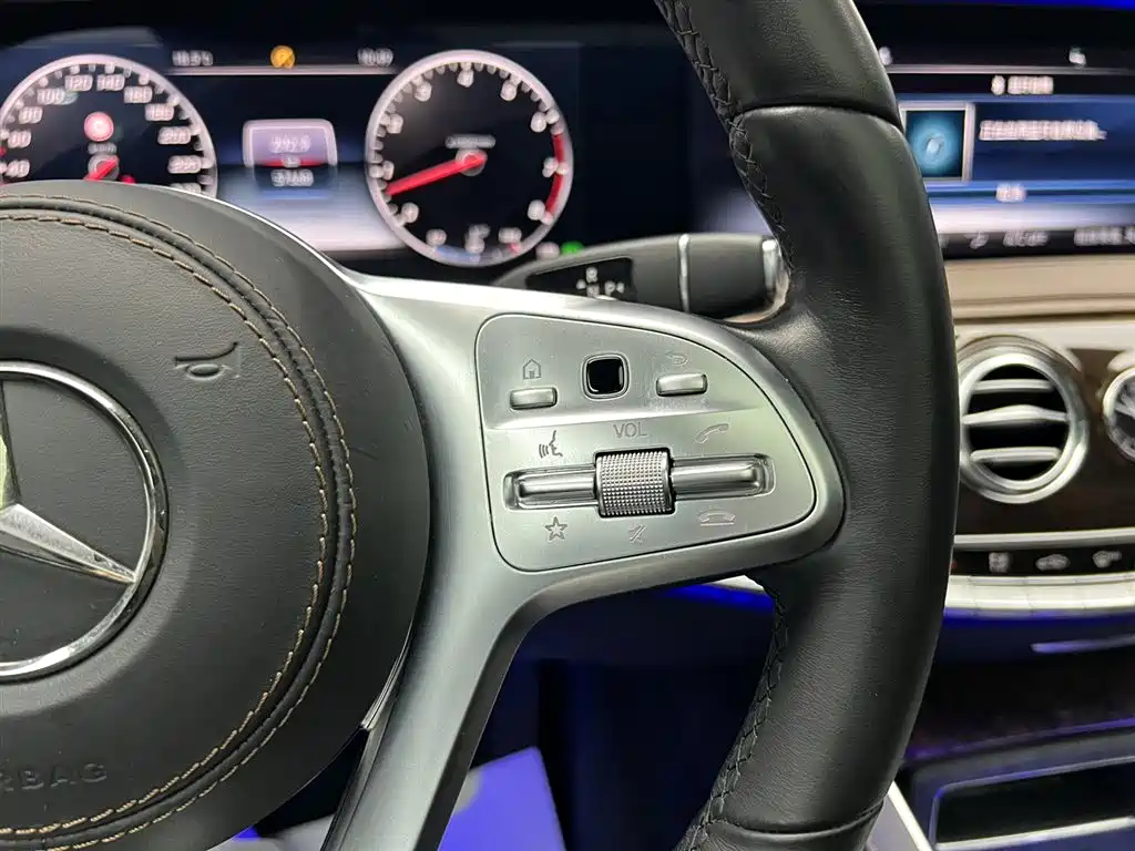 Mercedes-Benz S-Class 2020 S 450 L 4MATIC Collector's Version фото 15