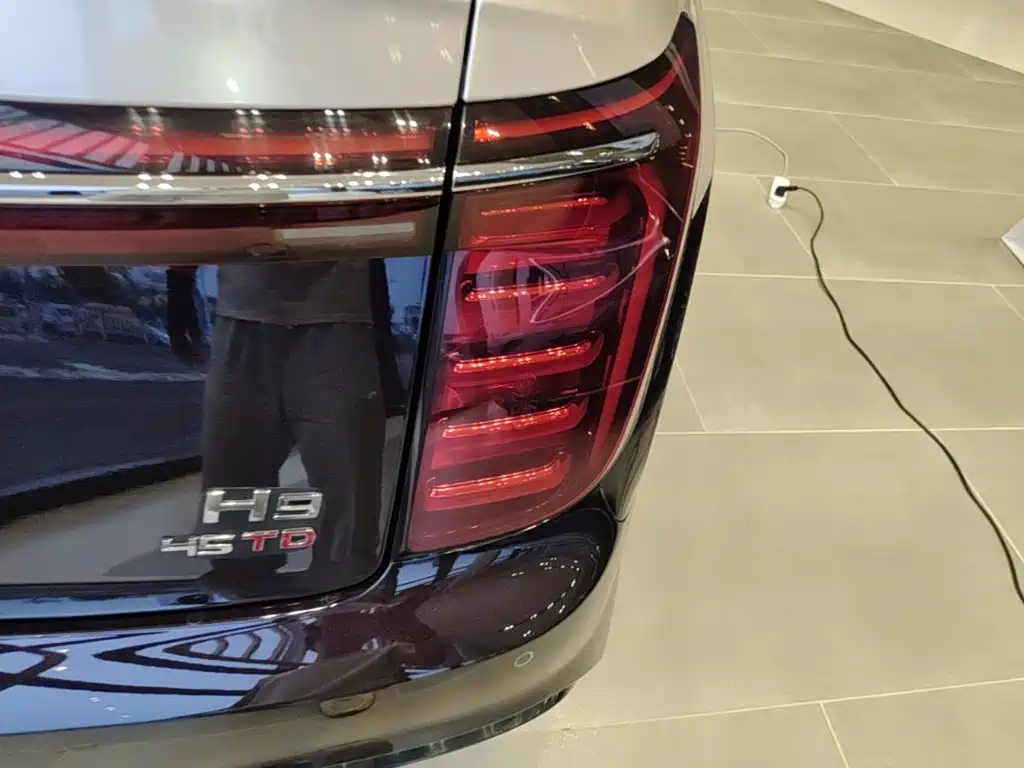 Фото 24 - Hongqi H9