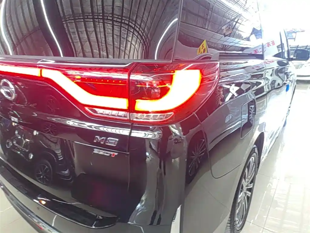GAC Trumpchi Trumpchi M8 2023 Leading Series 390T Prestige Edition фото 8