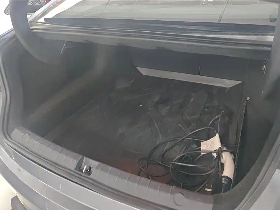 BYD Destroyer 05 2024 DM-i 55KM Pilot Glory Edition фото 4
