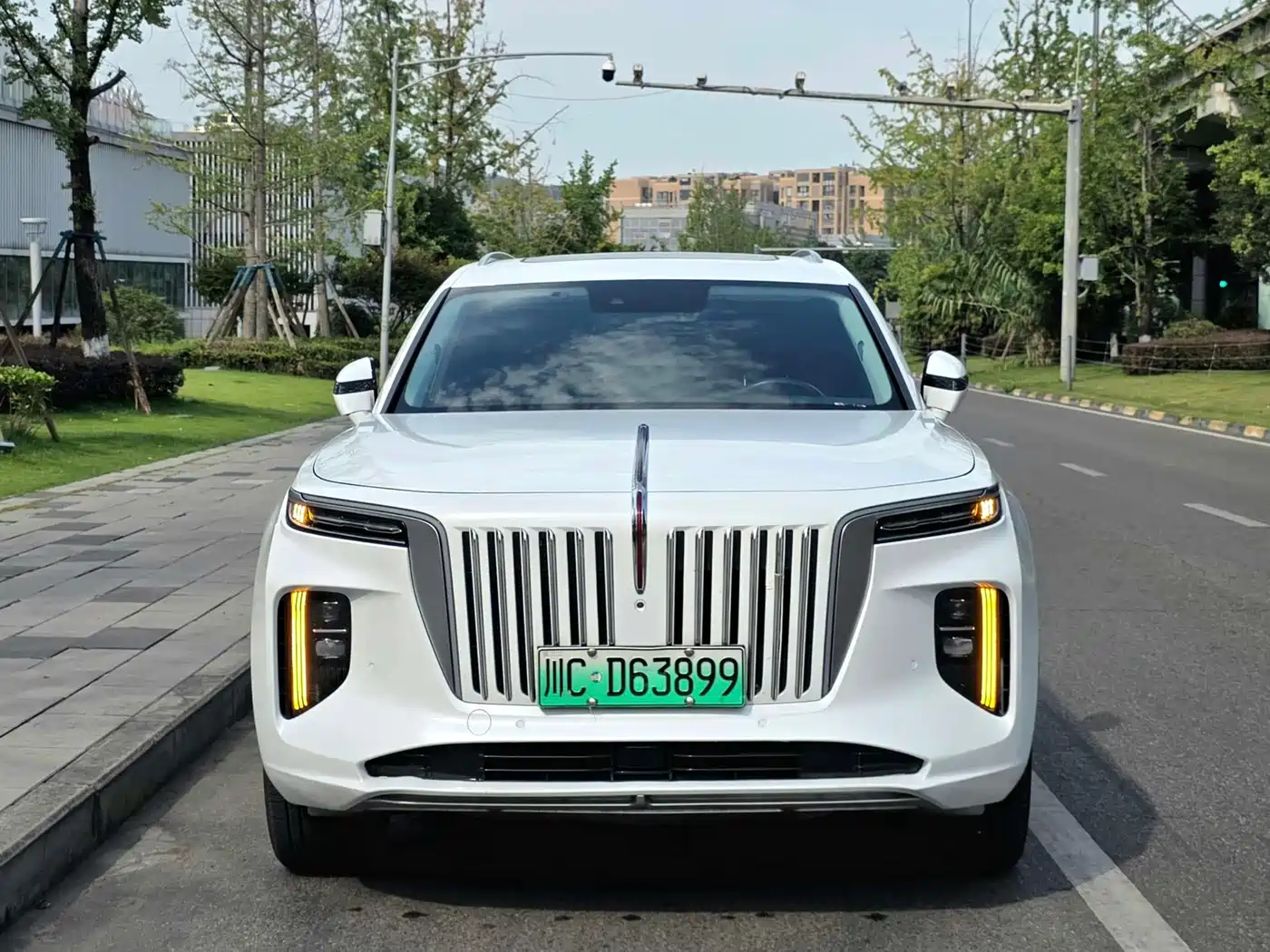 Hongqi E-HS9 2022 2021 460km Flagship Comfort 6-seater