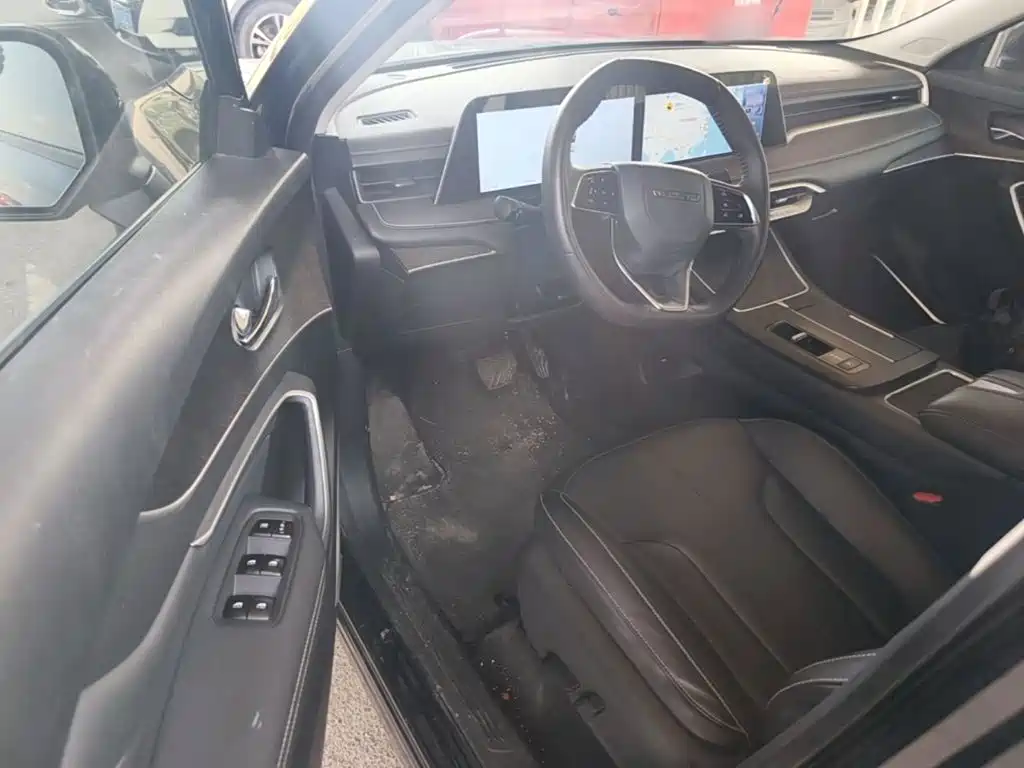 Venucia DaV DD-i 2023 2023 110km iE Edition