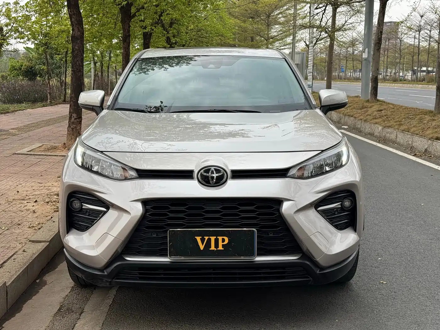 Toyota Wildlander 2020 2.0L CVT AWD Luxury Edition фото 2