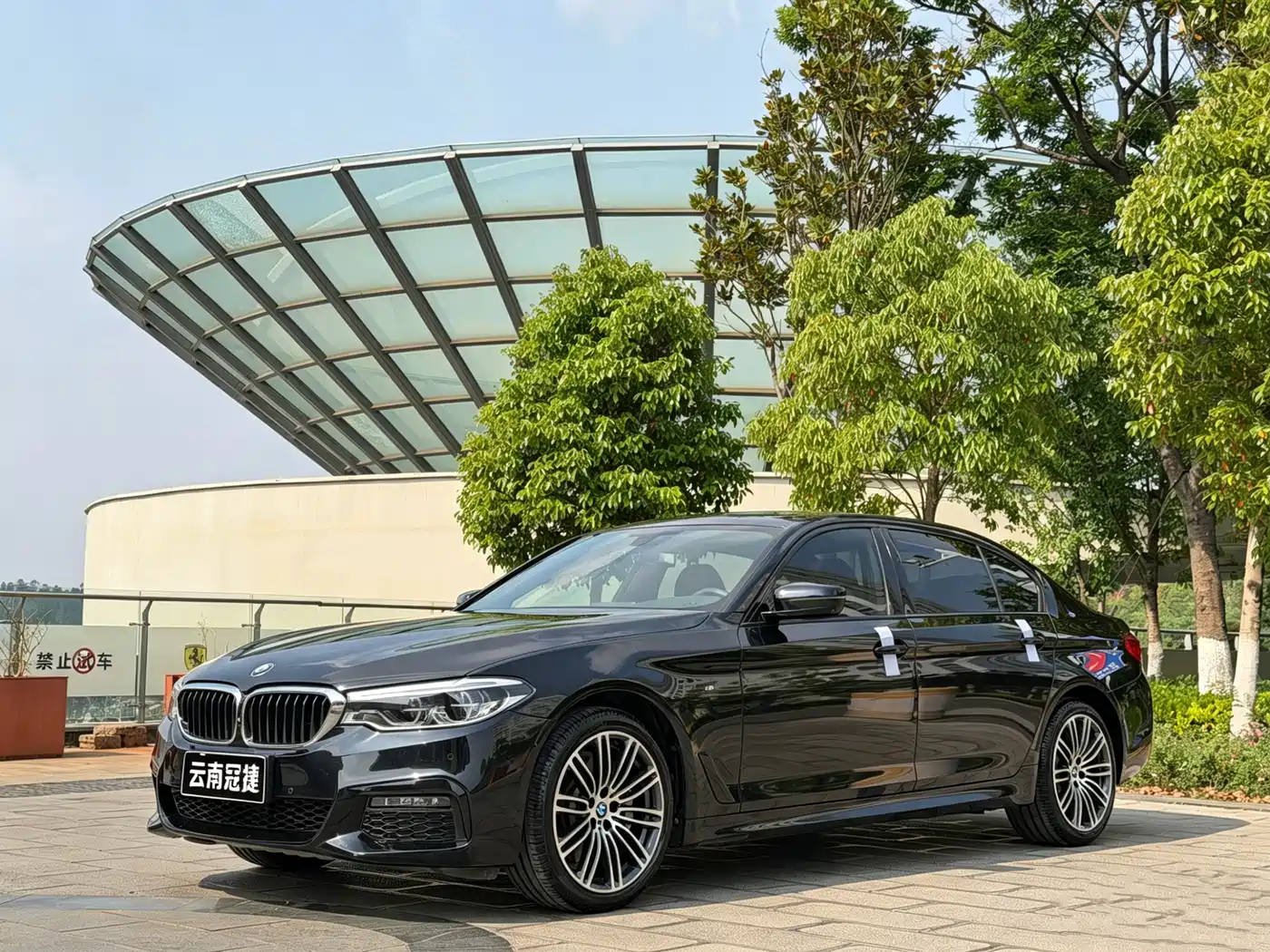 BMW 5 Series 2019 530Li Premium M Sport Package