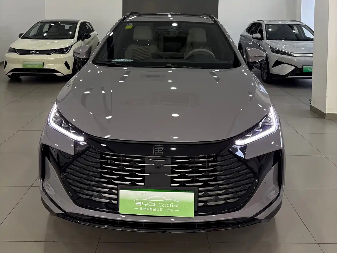 BYD Tang New Energy 2025 Smart Driving Edition DM-i 115KM Flagship фото 2