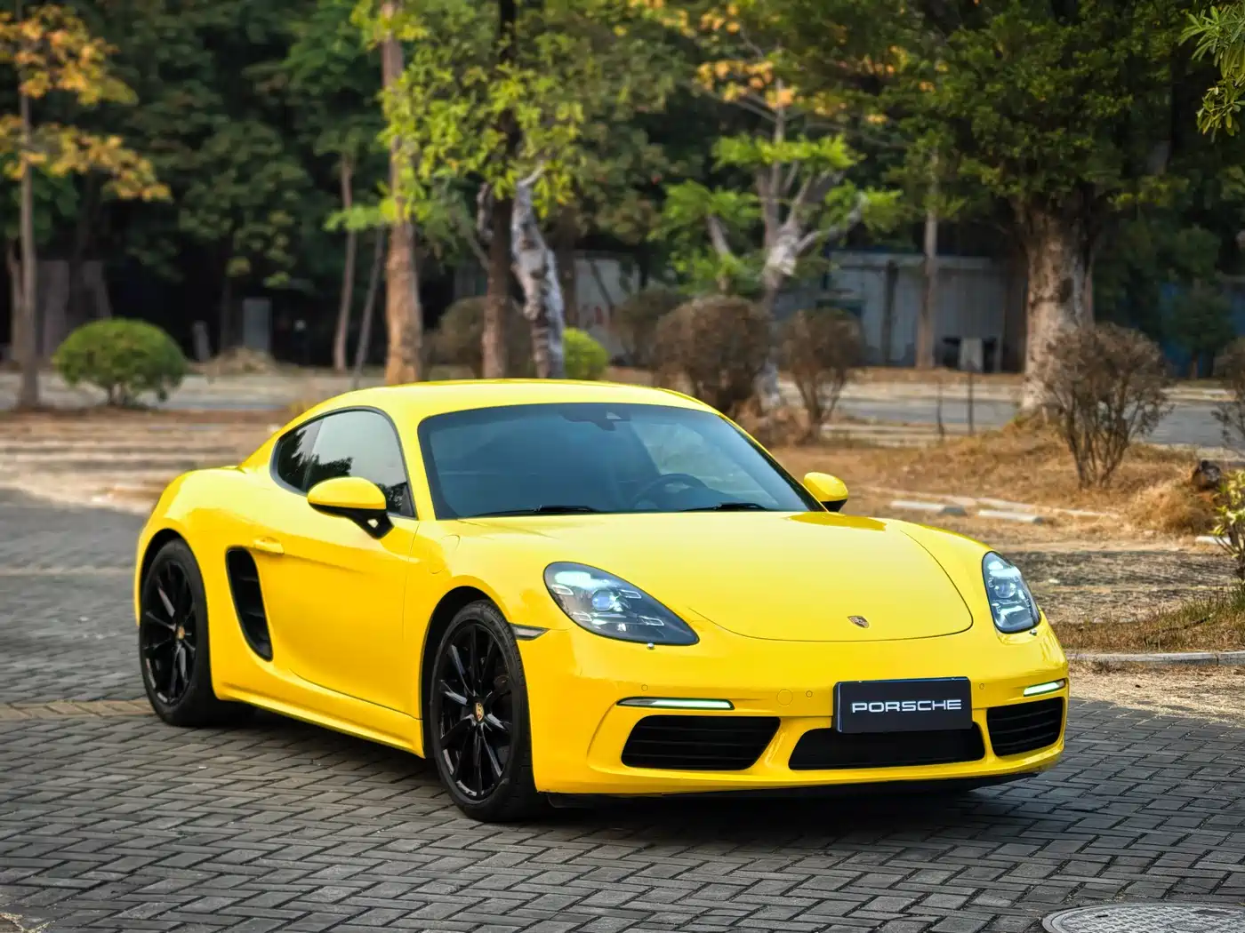 Porsche 718 2018 Cayman 2.0T фото 3