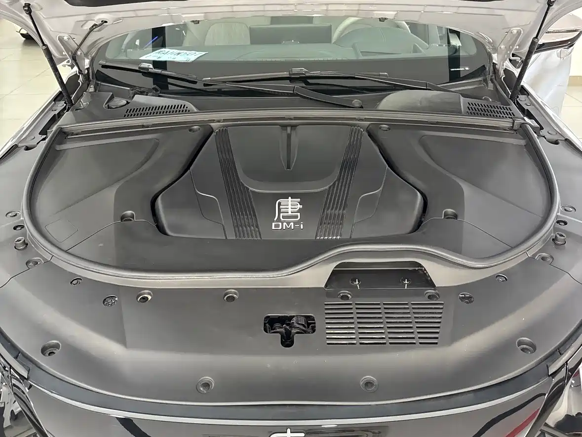 BYD Tang New Energy 2025 Smart Driving Edition DM-i 115KM Flagship фото 13
