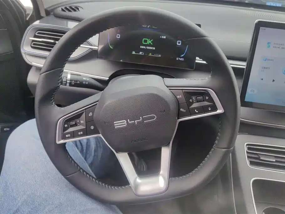 BYD Destroyer 05 2023 Champion Edition DM-i 120KM Honor фото 15
