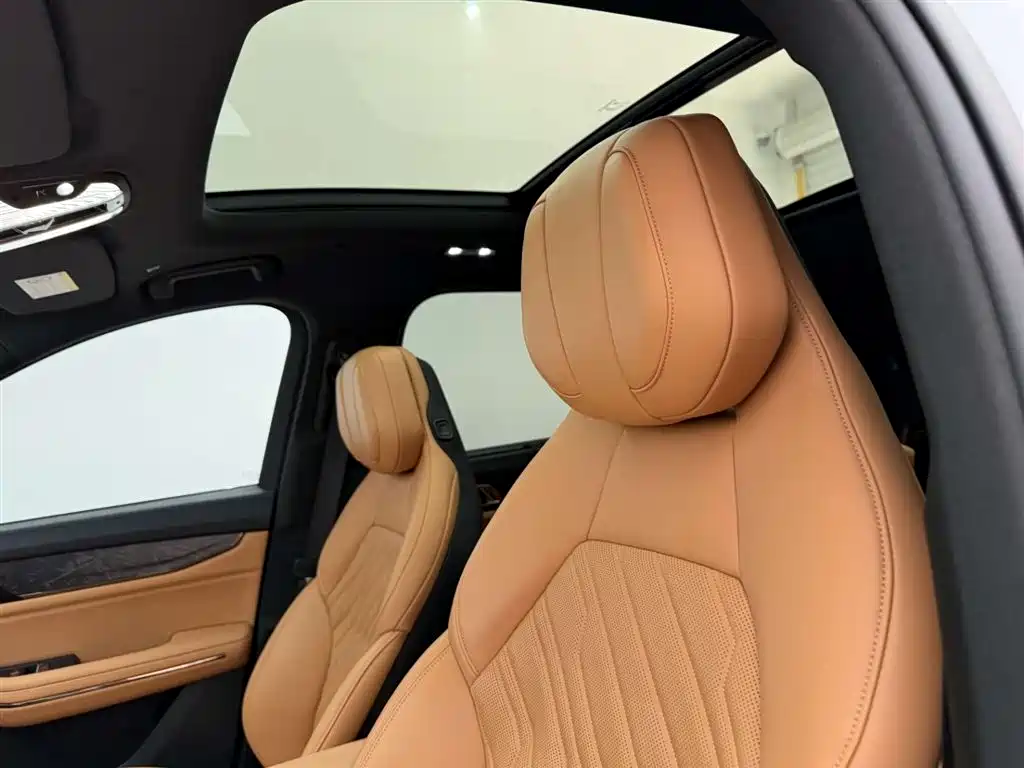 Lynk & Co 09 EM-P 2021 2.0T PHEV Halo 6-seater фото 16