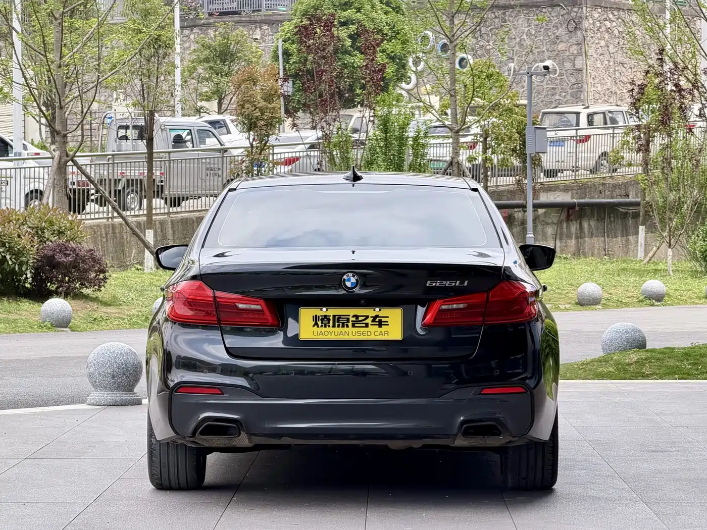 BMW 5 Series 2019 525Li M Sport Package фото 5