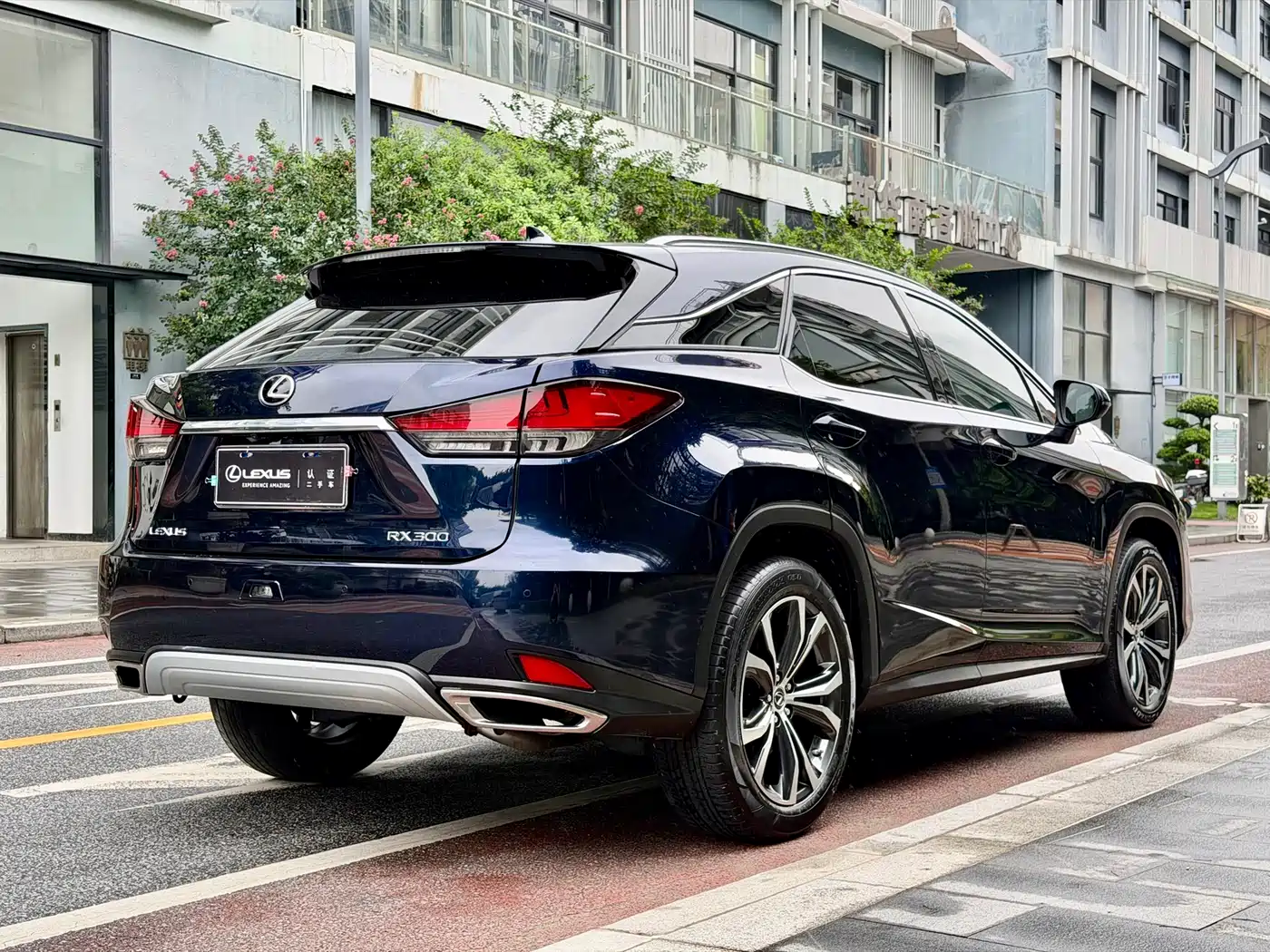 Lexus RX 2020 Facelift 300 AWD Elegance Edition фото 21