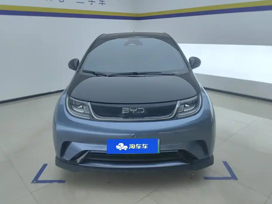 Фото 2 - BYD Dolphin
