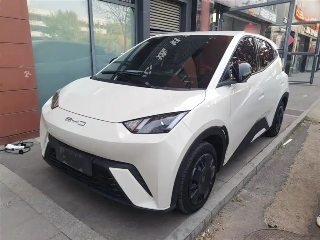 BYD Seagull 2023 Vitality Edition фото 2