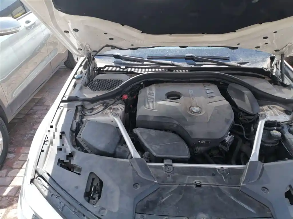 BMW 5 Series (Import) 2019 525i M Sport Package фото 21