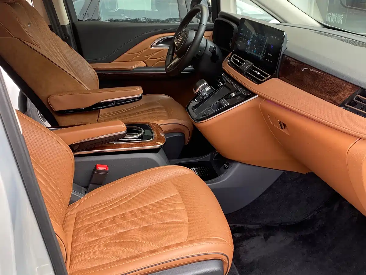 Hongqi HQ9 2022 2023 2.0T Smart Connect Flagship