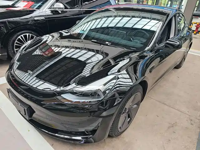 Tesla Model 3 Задний привод